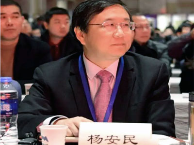 風生水起!楊安民董事長談上海山美股份有限公司經營之道 //高端訪談